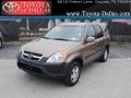 2004 Mojave Mist Metallic Honda CR-V EX 4WD  photo #1