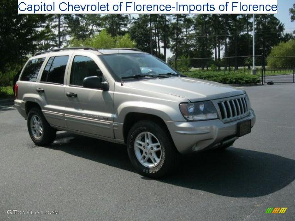 2004 Grand Cherokee Special Edition 4x4 - Light Pewter Metallic / Taupe photo #1