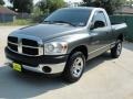 2007 Mineral Gray Metallic Dodge Ram 1500 ST Regular Cab  photo #7