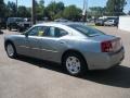 Silver Steel Metallic - Charger  Photo No. 6