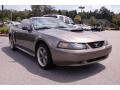 2002 Mineral Grey Metallic Ford Mustang GT Convertible  photo #1