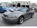 2002 Mineral Grey Metallic Ford Mustang GT Convertible  photo #13