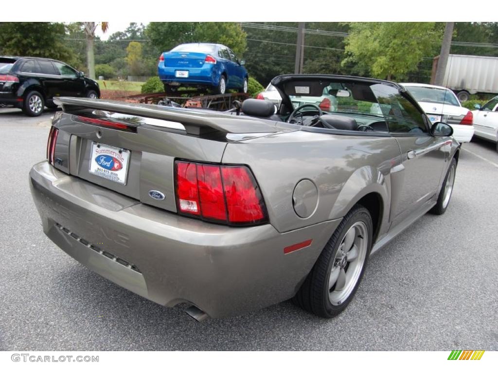 2002 Mustang GT Convertible - Mineral Grey Metallic / Dark Charcoal photo #16