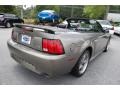 2002 Mineral Grey Metallic Ford Mustang GT Convertible  photo #16