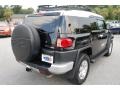 Black Diamond - FJ Cruiser 4WD Photo No. 15