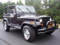 Black - Wrangler SE 4x4 Photo No. 24
