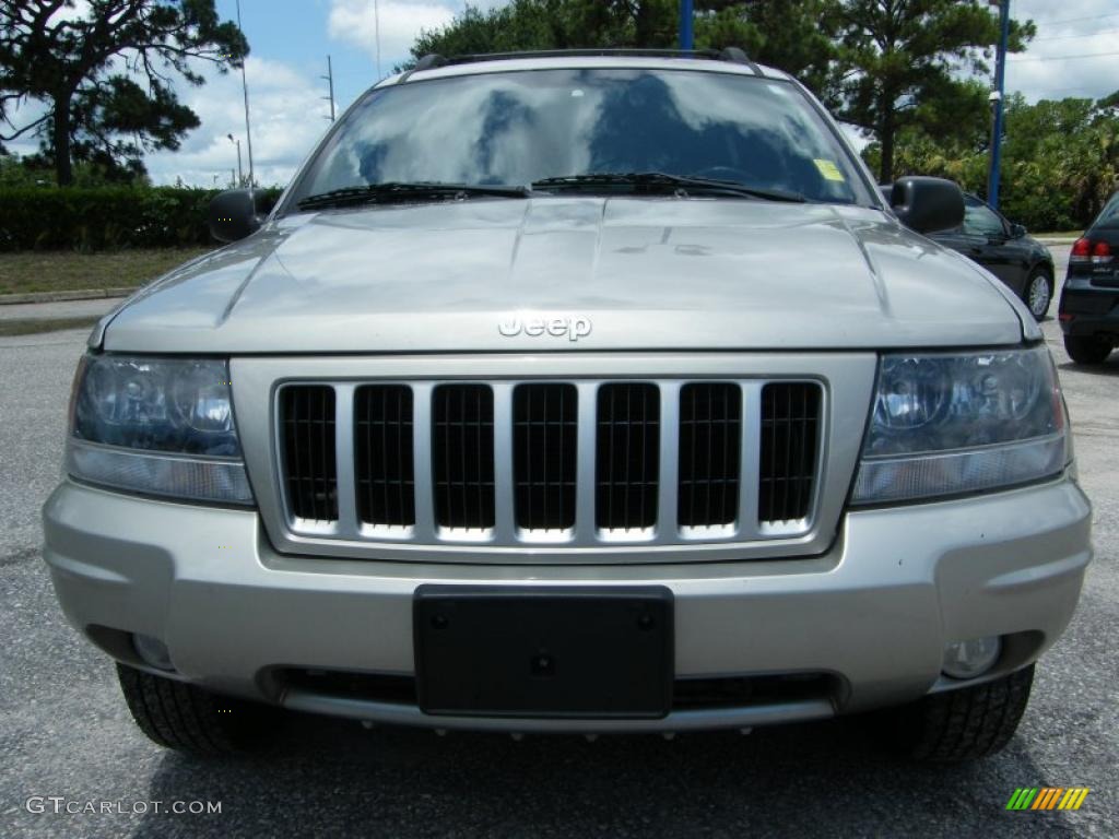 2004 Grand Cherokee Laredo - Graphite Metallic / Dark Slate Gray photo #8
