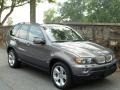 Stratus Grey Metallic - X5 4.4i Photo No. 2