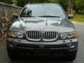 Stratus Grey Metallic - X5 4.4i Photo No. 6