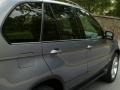 Stratus Grey Metallic - X5 4.4i Photo No. 13