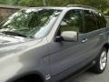 Stratus Grey Metallic - X5 4.4i Photo No. 16