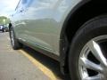 Serengeti Sand Metallic - FX 35 AWD Photo No. 17