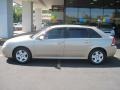 2007 Sandstone Metallic Chevrolet Malibu Maxx LT Wagon  photo #4