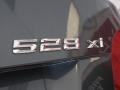2008 Platinum Grey Metallic BMW 5 Series 528xi Sedan  photo #8