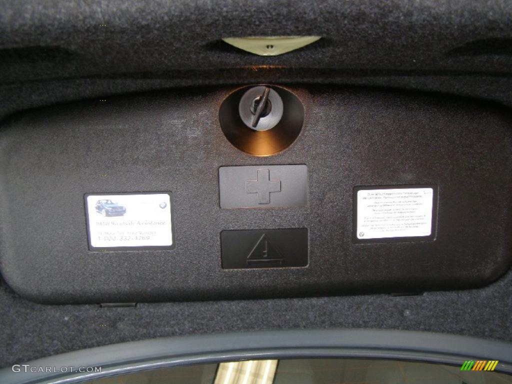 2008 5 Series 528xi Sedan - Platinum Grey Metallic / Black photo #10