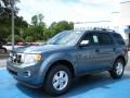 2011 Steel Blue Metallic Ford Escape XLT  photo #1