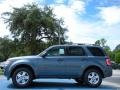 2011 Steel Blue Metallic Ford Escape XLT  photo #2