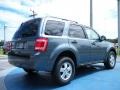 2011 Steel Blue Metallic Ford Escape XLT  photo #3