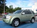 2008 Kiwi Green Metallic Ford Escape XLT V6  photo #1