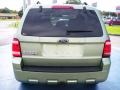 2008 Kiwi Green Metallic Ford Escape XLT V6  photo #4