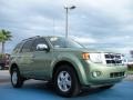 2008 Kiwi Green Metallic Ford Escape XLT V6  photo #7