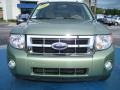 2008 Kiwi Green Metallic Ford Escape XLT V6  photo #8