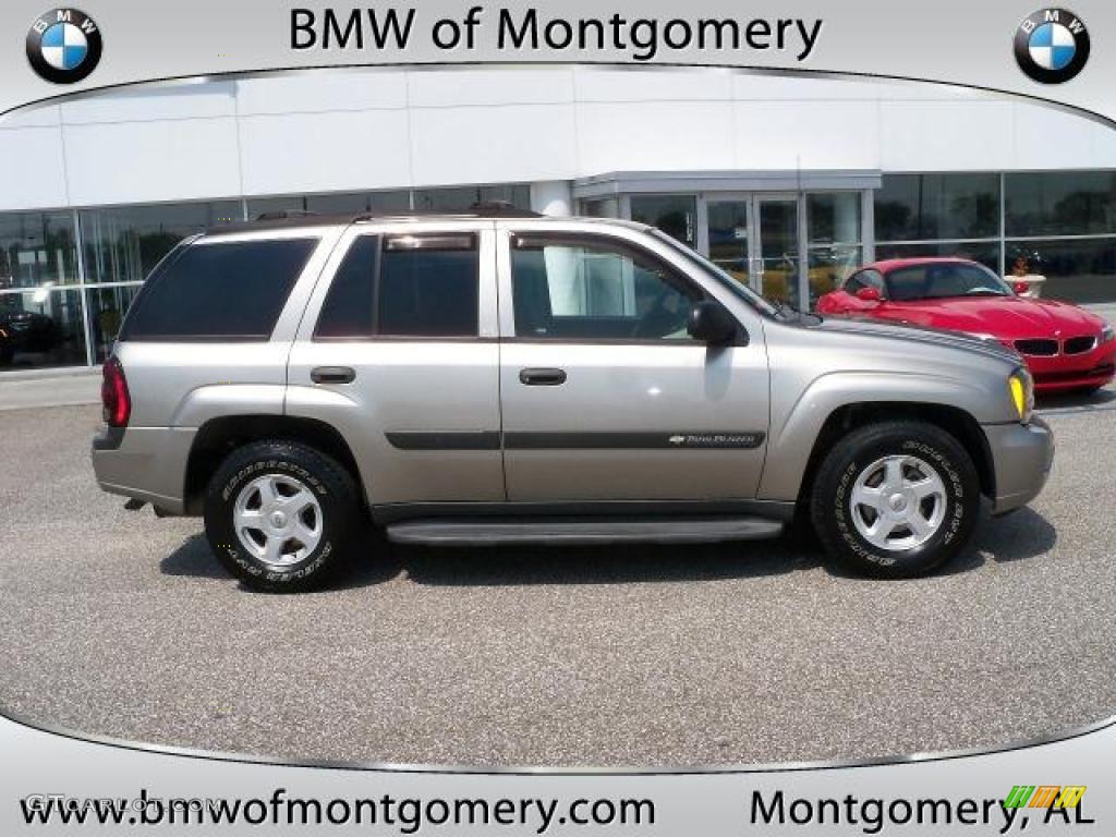 2003 TrailBlazer LS 4x4 - Light Pewter Metallic / Dark Pewter photo #2