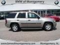 Light Pewter Metallic - TrailBlazer LS 4x4 Photo No. 2