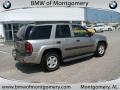 Light Pewter Metallic - TrailBlazer LS 4x4 Photo No. 3
