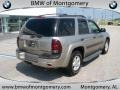 Light Pewter Metallic - TrailBlazer LS 4x4 Photo No. 4