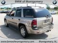 Light Pewter Metallic - TrailBlazer LS 4x4 Photo No. 6