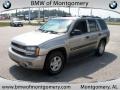 Light Pewter Metallic - TrailBlazer LS 4x4 Photo No. 8