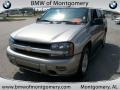Light Pewter Metallic - TrailBlazer LS 4x4 Photo No. 9