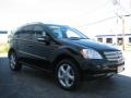 Black - ML 350 4Matic Photo No. 3