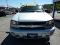 Moondust Metallic - TrailBlazer LS 4x4 Photo No. 4