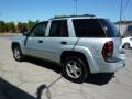 2007 Moondust Metallic Chevrolet TrailBlazer LS 4x4  photo #7