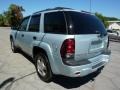 2007 Moondust Metallic Chevrolet TrailBlazer LS 4x4  photo #8