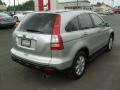 2009 Alabaster Silver Metallic Honda CR-V EX-L 4WD  photo #9