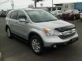 2009 Alabaster Silver Metallic Honda CR-V EX-L 4WD  photo #10