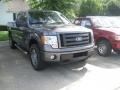 2010 Sterling Grey Metallic Ford F150 STX SuperCab 4x4  photo #3