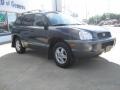 2004 Moonlit Blue Hyundai Santa Fe GLS 4WD  photo #3
