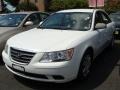 Pearl White - Sonata GLS Photo No. 1
