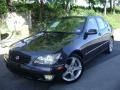 Graphite Gray Pearl - IS 300 Photo No. 1