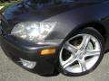 Graphite Gray Pearl - IS 300 Photo No. 5