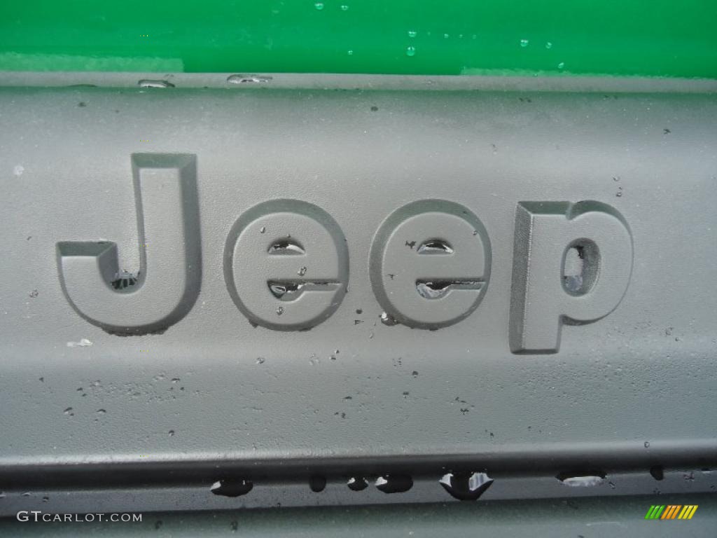 2004 Wrangler Sport 4x4 - Electric Lime Green Pearl / Dark Slate Gray photo #18