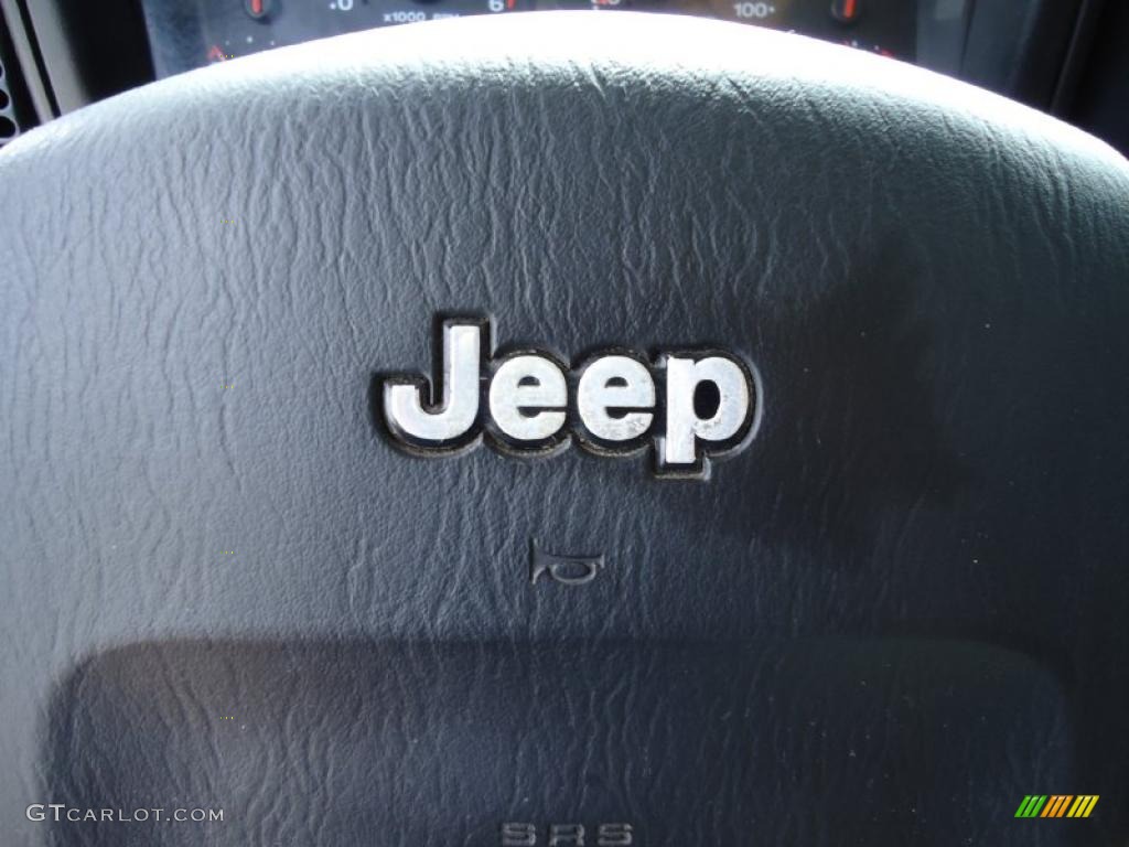 2004 Wrangler Sport 4x4 - Electric Lime Green Pearl / Dark Slate Gray photo #32
