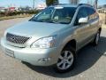 2006 Bamboo Pearl Lexus RX 330 AWD  photo #1