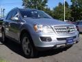 Alpine Rain Metallic - ML 350 4Matic Photo No. 4