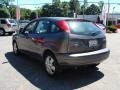 Liquid Grey Metallic - Focus ZX5 SES Hatchback Photo No. 5