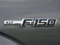 2010 Sterling Grey Metallic Ford F150 XLT SuperCab  photo #4